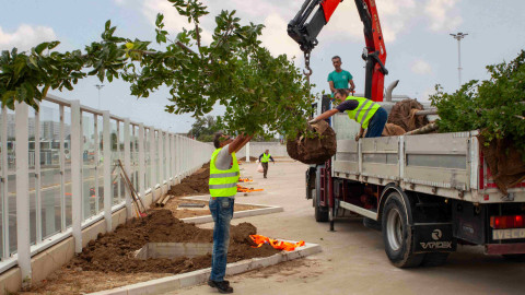 Belgrade Waterfront donates tree seedlings to the new Belgrade Bus Station