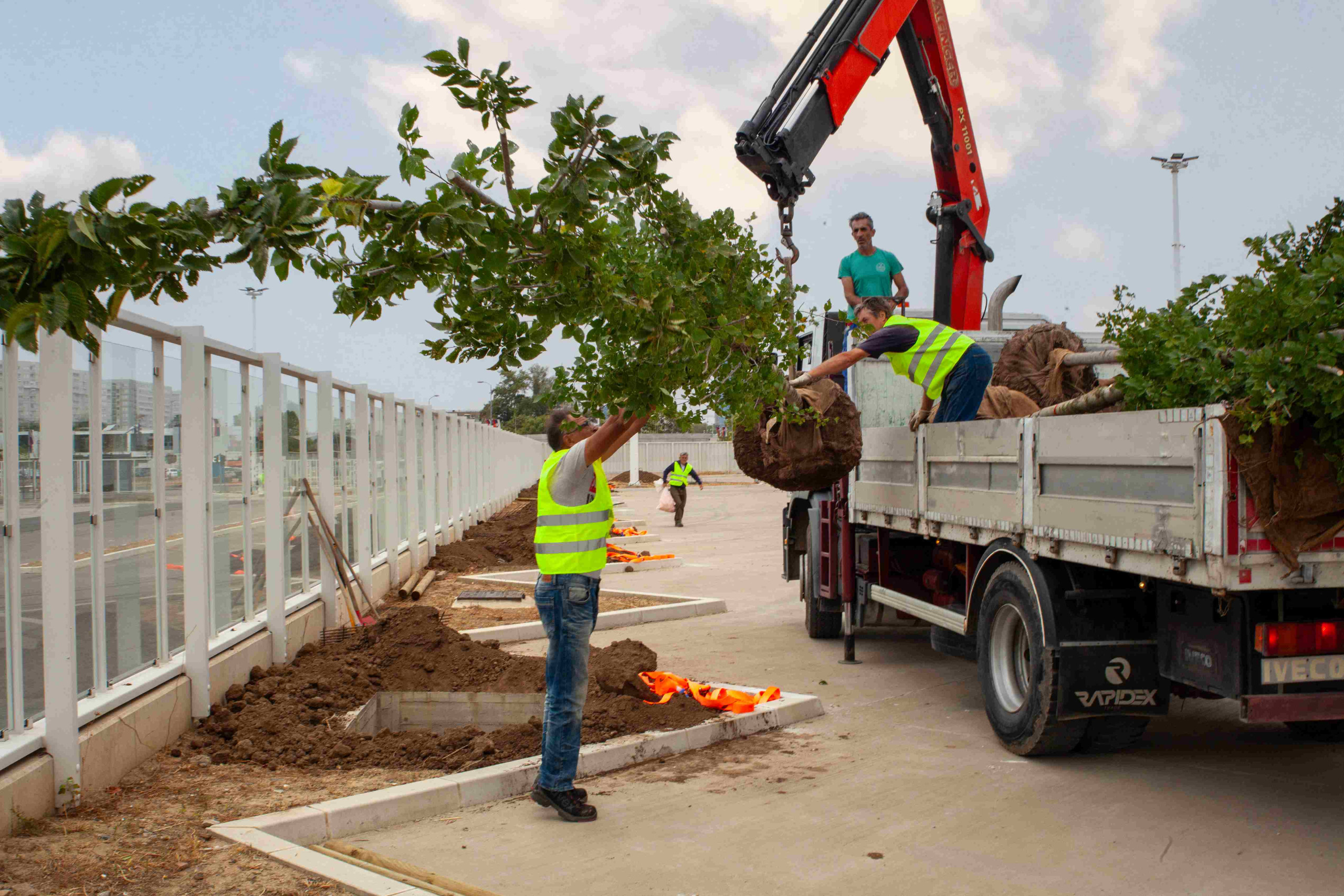 Belgrade Waterfront donates tree seedlings to the new Belgrade Bus Station