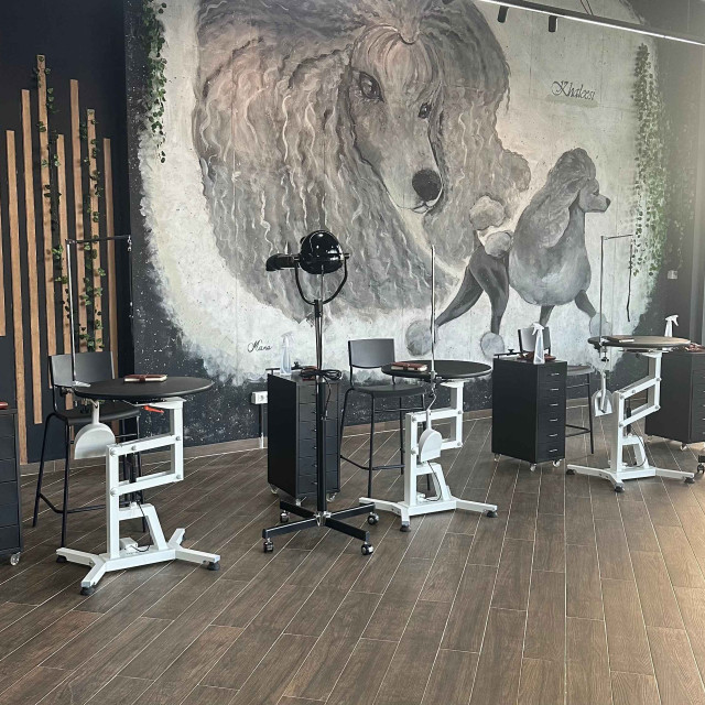 The interior of Doggy Style Grooming salon in Belgrade Waterfront